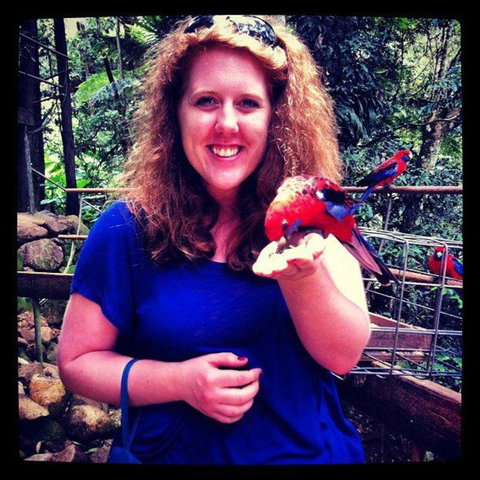 Springbrook National Park Discovery Full-Day Bushwalking Tour - Restaurant Gold Coast 8