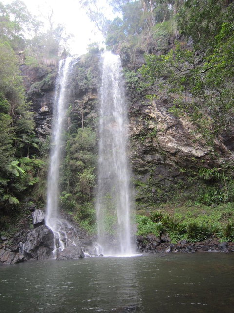 Springbrook National Park Discovery Full-Day Bushwalking Tour - Restaurant Gold Coast 17