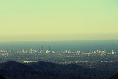 Springbrook National Park Discovery Full-Day Bushwalking Tour - Restaurant Gold Coast 4