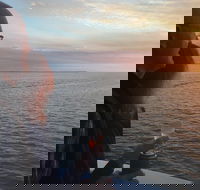 Hervey Bay Sunset Cruise - Restaurant Gold Coast