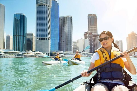 Brisbane Kayak Tour - Restaurant Gold Coast 0