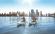 Brisbane Kayak Tour - thumb 4
