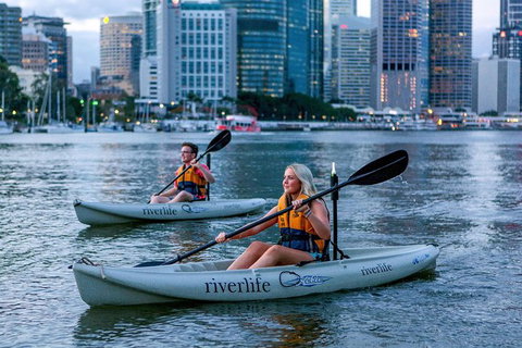 Brisbane Kayak Tour - Restaurant Gold Coast 3