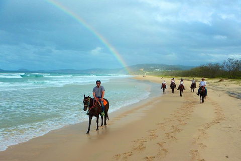 Rainbow Beach Horse Ride - Restaurant Gold Coast 1