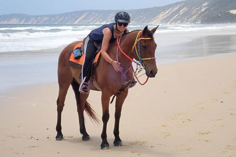 Rainbow Beach Horse Ride - Restaurant Gold Coast 2