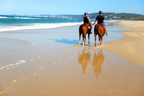 Rainbow Beach Horse Ride - Restaurant Gold Coast 3