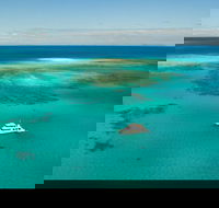 Great Barrier Reef Dive and Snorkel Cruise from Mission Beach - Restaurant Gold Coast
