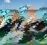 Ocean Spirit Michaelmas Cay Dive and Snorkel Cruise from Palm Cove - Restaurant Gold Coast