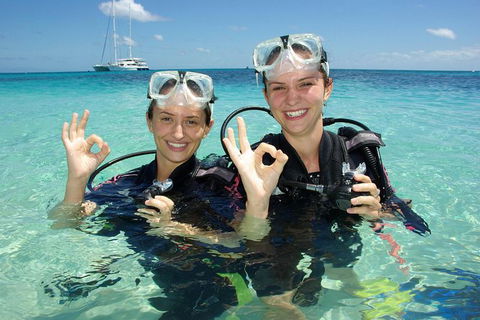 Ocean Spirit Michaelmas Cay Dive And Snorkel Cruise From Palm Cove - Restaurant Gold Coast 0