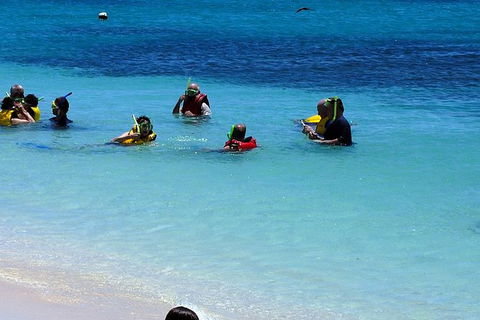 Ocean Spirit Michaelmas Cay Dive And Snorkel Cruise From Palm Cove - Restaurant Gold Coast 1
