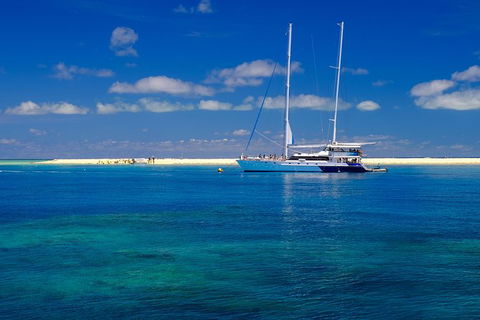 Ocean Spirit Michaelmas Cay Dive And Snorkel Cruise From Palm Cove - Restaurant Gold Coast 3