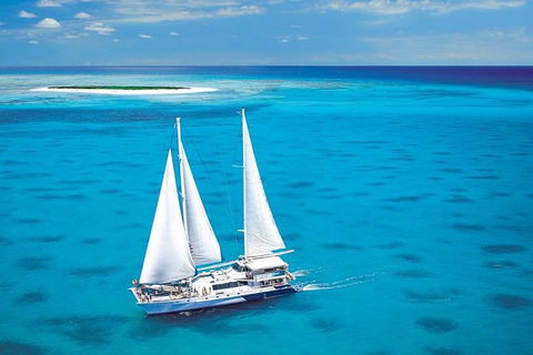 Ocean Spirit Michaelmas Cay Dive And Snorkel Cruise From Palm Cove - Restaurant Gold Coast 8