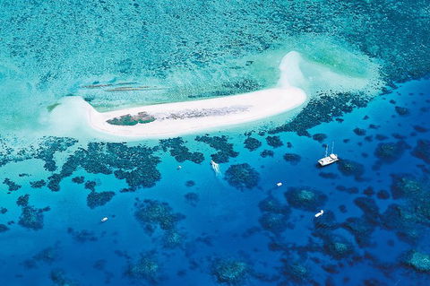 Ocean Spirit Michaelmas Cay Dive And Snorkel Cruise From Palm Cove - Restaurant Gold Coast 7