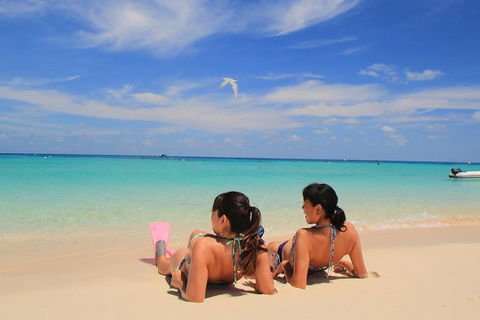 Ocean Spirit Michaelmas Cay Dive And Snorkel Cruise From Palm Cove - Restaurant Gold Coast 2