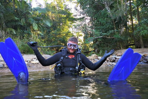 Rainforest Platypus Night Dive (Certified Divers Only Once Day Dive Completed) - Restaurant Gold Coast 10