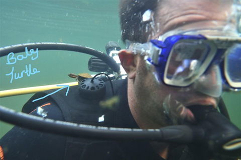 Rainforest Platypus Night Dive (Certified Divers Only Once Day Dive Completed) - Restaurant Gold Coast 4
