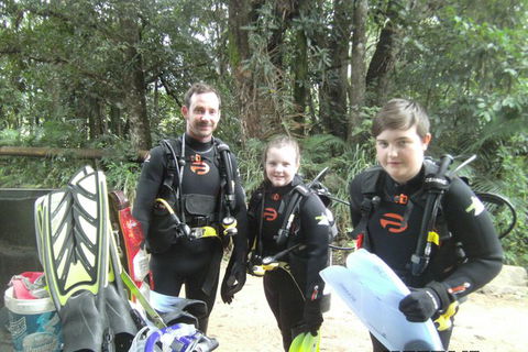 Rainforest Platypus Night Dive (Certified Divers Only Once Day Dive Completed) - Restaurant Gold Coast 8