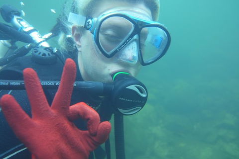 Rainforest Platypus Night Dive (Certified Divers Only Once Day Dive Completed) - Restaurant Gold Coast 5