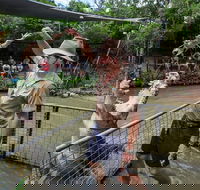 Hartley's Crocodile Adventures Day Trip from Cairns - Restaurant Gold Coast