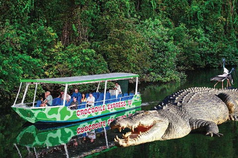 Daintree River Cruise - Restaurant Gold Coast 7