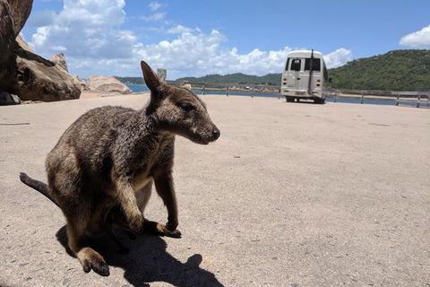 Magnetic Island Tour: Maggie Comprehensive - Restaurant Gold Coast 0