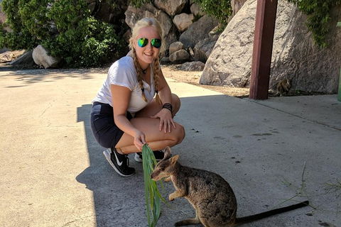 Magnetic Island Tour: Maggie Comprehensive - Restaurant Gold Coast 9