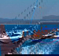 Blue Dolphin Exclusive Whale Watch Encounters - Restaurant Gold Coast