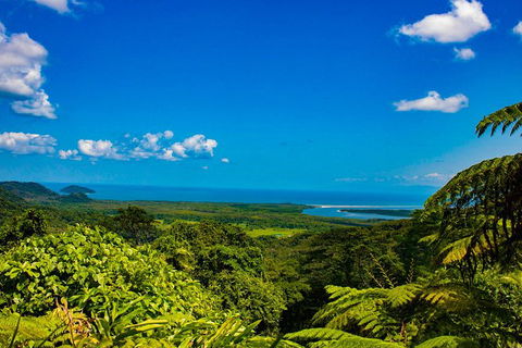 Cape Tribulation Day Tour - Restaurant Gold Coast 0