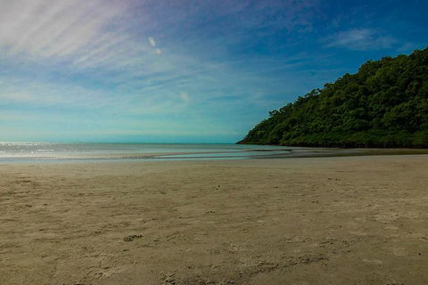 Cape Tribulation Day Tour - Restaurant Gold Coast 8