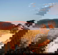 Uluru Ayers Rock Sunset with Outback Barbecue Dinner and Star Tour - Restaurant Gold Coast