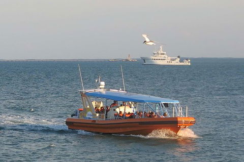 1-Hour Darwin Harbour Highlights Cruise - Restaurant Gold Coast 0