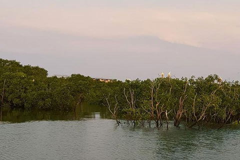 1-Hour Darwin Harbour Highlights Cruise - Restaurant Gold Coast 7