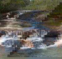 3 Day 4WD Dragonfly Dreaming Top End Safari - Restaurant Gold Coast