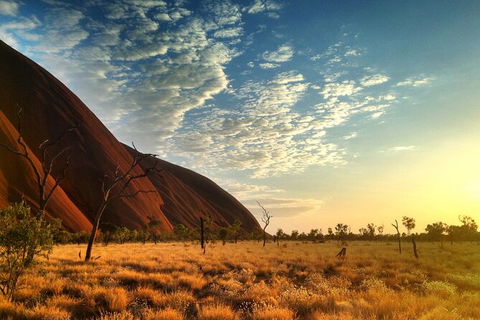 Highlights Of Uluru Including Sunrise And Breakfast - Restaurant Gold Coast 5