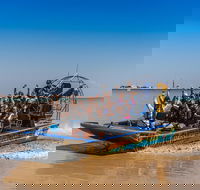 1 Hour Darwin Airboat Tours - Restaurant Gold Coast