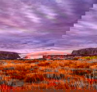 4-Day Camping Trip from Ayers Rock Including Uluru Kata Tjuta and Kings Canyon - Restaurant Gold Coast