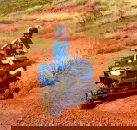 Aussie Outback Air and Land Tour Including Quad Bike Ride - Restaurant Gold Coast