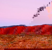 Best of Ayers Rock Sunset Uluru and Sunrise Kata Tjuta Small Group Tours - Restaurant Gold Coast