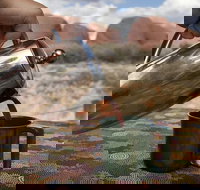 Kata Tjuta Small-Group Tour Including Sunrise and Breakfast - Restaurant Gold Coast