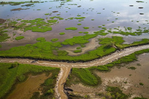 Kakadu National Park Scenic Flight - Restaurant Gold Coast 10