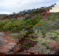 Palm Valley and Hermannsburg 1 Day 4WD Tour - Restaurant Gold Coast