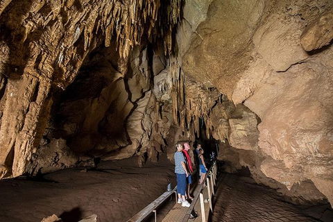 Cutta Cutta Caves Nature Park Guided Tours - Restaurant Gold Coast 1