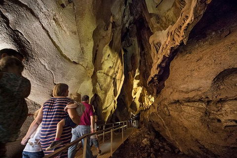 Cutta Cutta Caves Nature Park Guided Tours - Restaurant Gold Coast 0