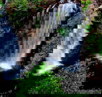Litchfield Dreams 1 Day National Park Waterfall Swimming  Jumping Croc Cruise - Restaurant Gold Coast