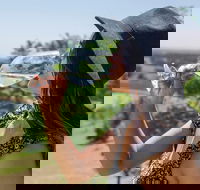 Scenic Hunter Valley Winery Tour with Boutique Wineries  Local Cheese - Restaurant Gold Coast