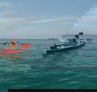 Kayaking with Dolphins in Byron Bay Guided Tour - Restaurant Gold Coast
