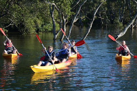 Kayak And SUP Guided Tours - Restaurant Gold Coast 0