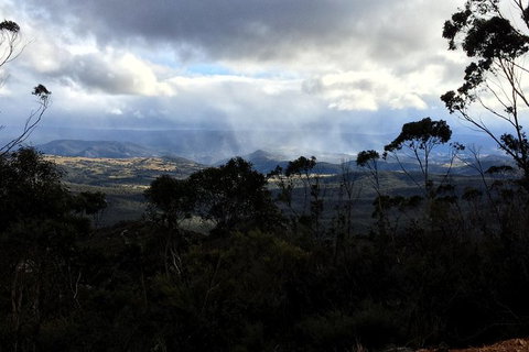 PJ Blue Mountains Trails - Restaurant Gold Coast 1