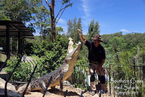 Private Shoalhaven Zoo Experience From Sydney - Restaurant Gold Coast 0