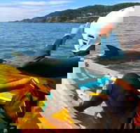 Byron Bay Combo Hinterland Tour Including Minyon Falls and Kayaking with Dolphins - Restaurant Gold Coast